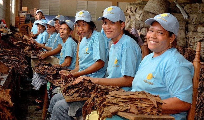 Gauntleys Cigar Club - Ladies Only Cigar Night - Thursday 2nd October Gauntleys Cigar Club - Ladies Only Cigar Night - Thursday 2nd October